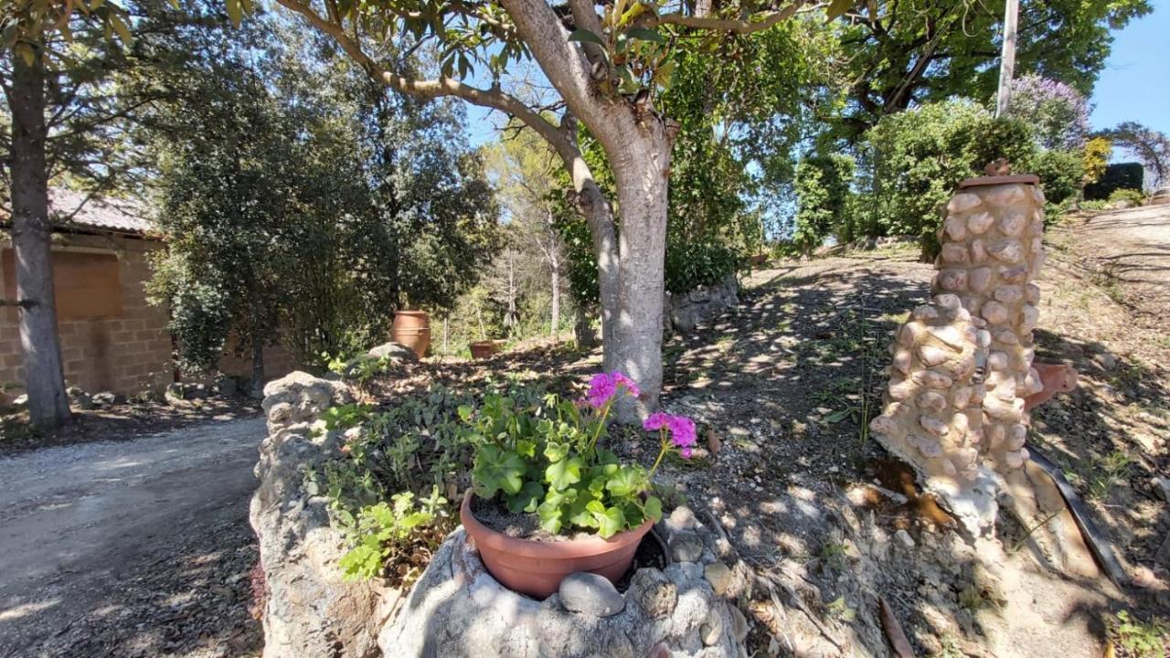 La Limonaia Country House Monteriggioni Bagian luar foto